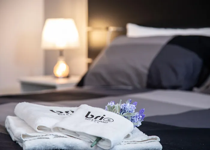 فندق مبيت وإفطار Brio 4*